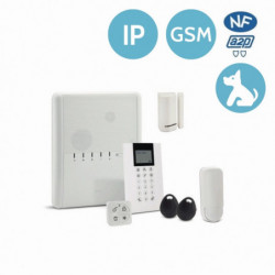 KIT-PICCOLO-IP-3G - RISCO