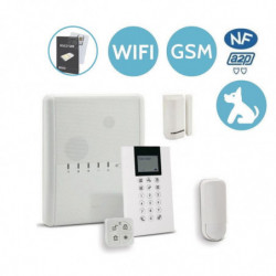 KIT-PICCOLO-WIFI-3G - RISCO