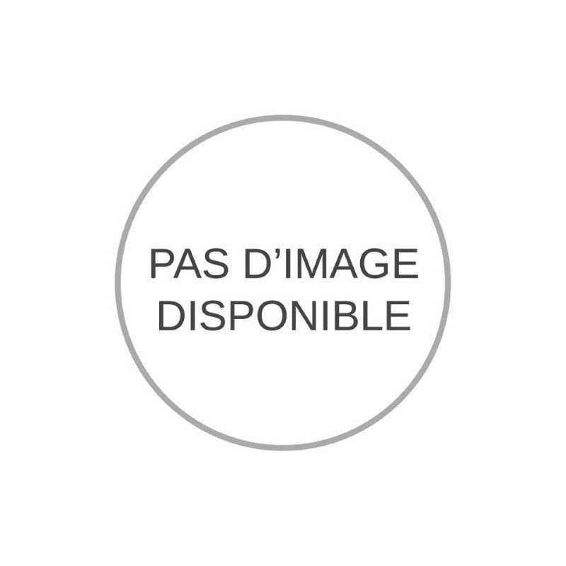 TM13350101 - ATEIS