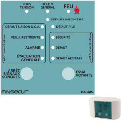 REP0006-001-D - FINSECUR
