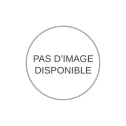 TM13350101 - ATEIS