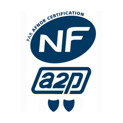 alarme certifiée nfa2p